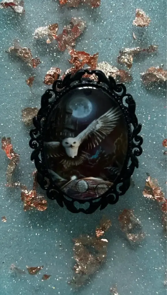 Broche - Cabochon en verre Harry Potter