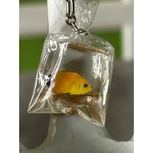 Porte-clé - Petit poisson
