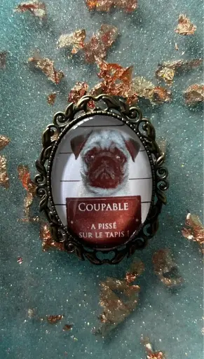 Broche - Cabochon en verre Carlin