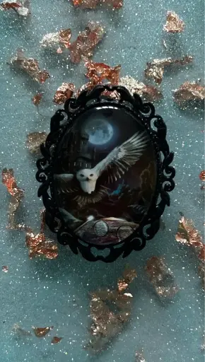 Broche - Cabochon en verre Harry Potter